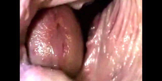 best of Pussy porn up close