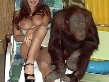 Girl fucked by a gorilla