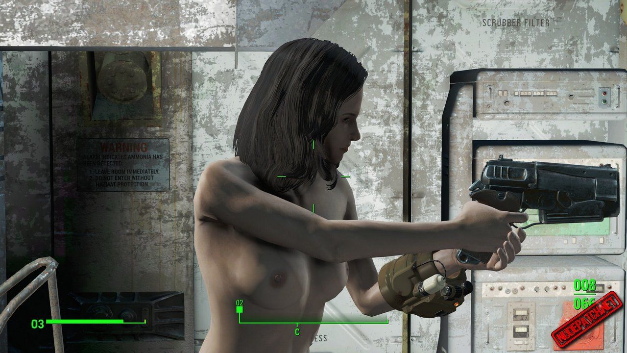 Target reccomend fallout nude mod