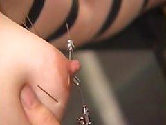 TigerвЂ™s E. reccomend needles torture nipples