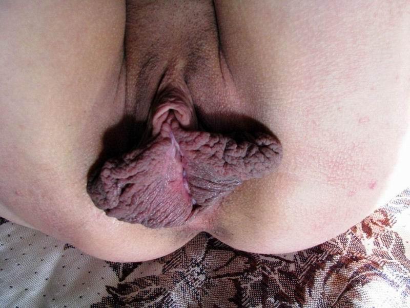 Worlds biggest vagina naked