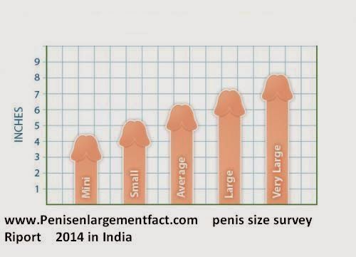 Average teen penis size