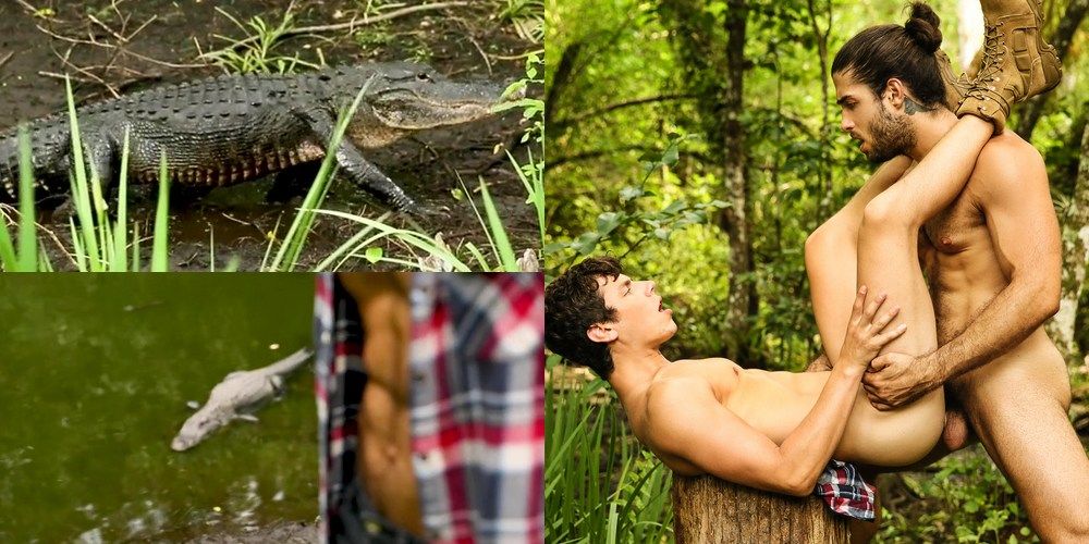 best of And sex have gay gator