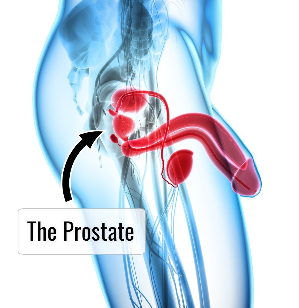best of Male spot amazing prostate orgasm