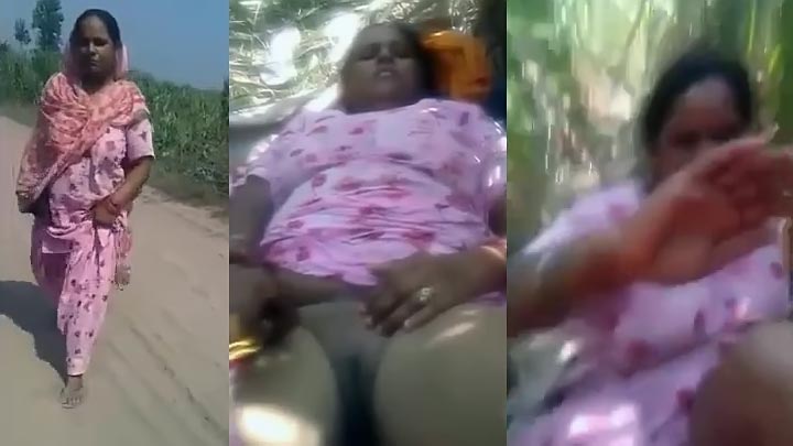 Pancake reccomend indian aunty field